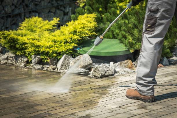 Best Dumpster Area Cleaning  in Burkburnett, TX