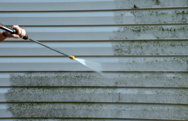 Best Sidewalk and Walkway Cleaning  in Burkburnett, TX